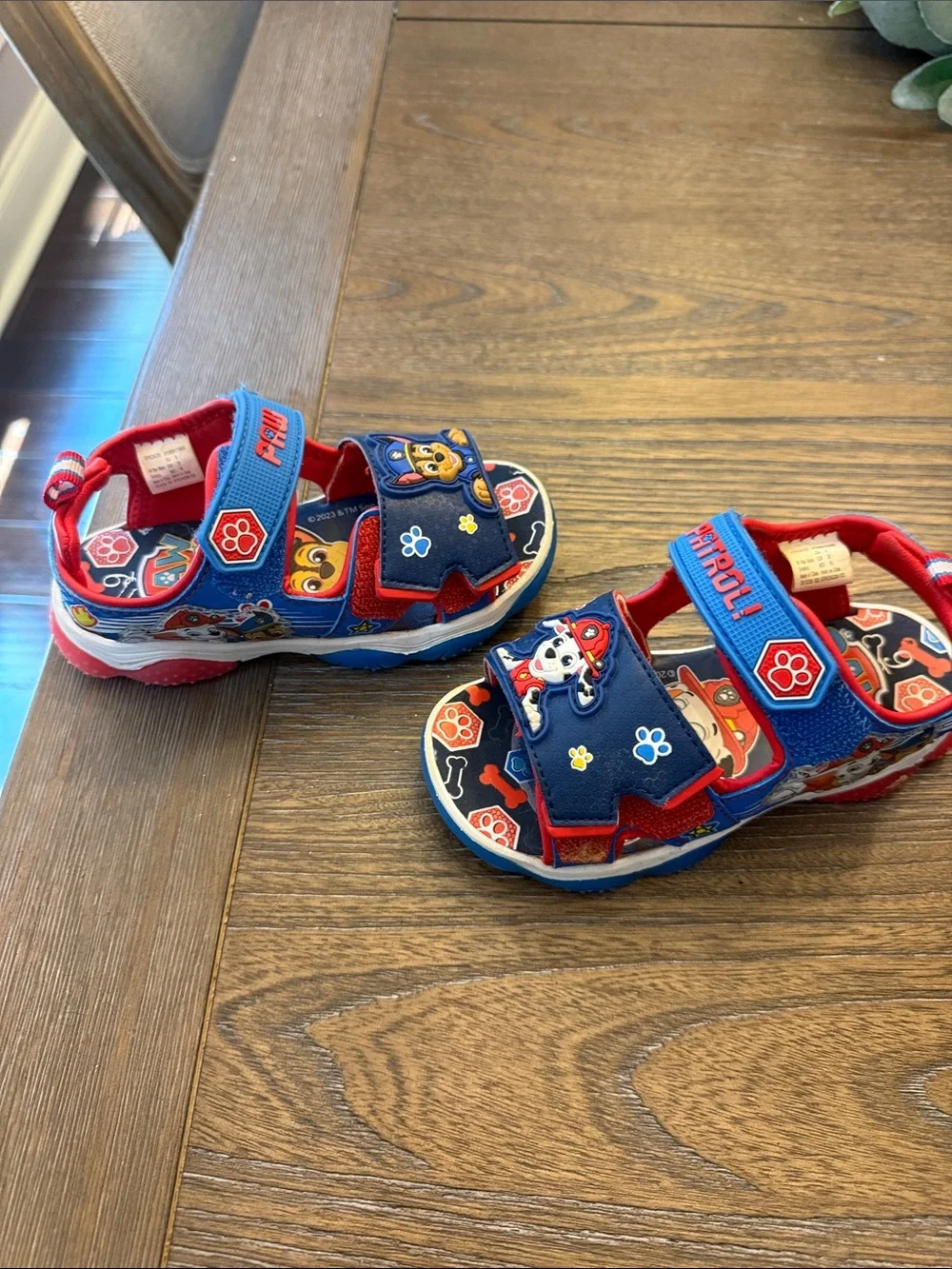 Paw Patrol Blue and Red Kids Light Up Sandals Size 9